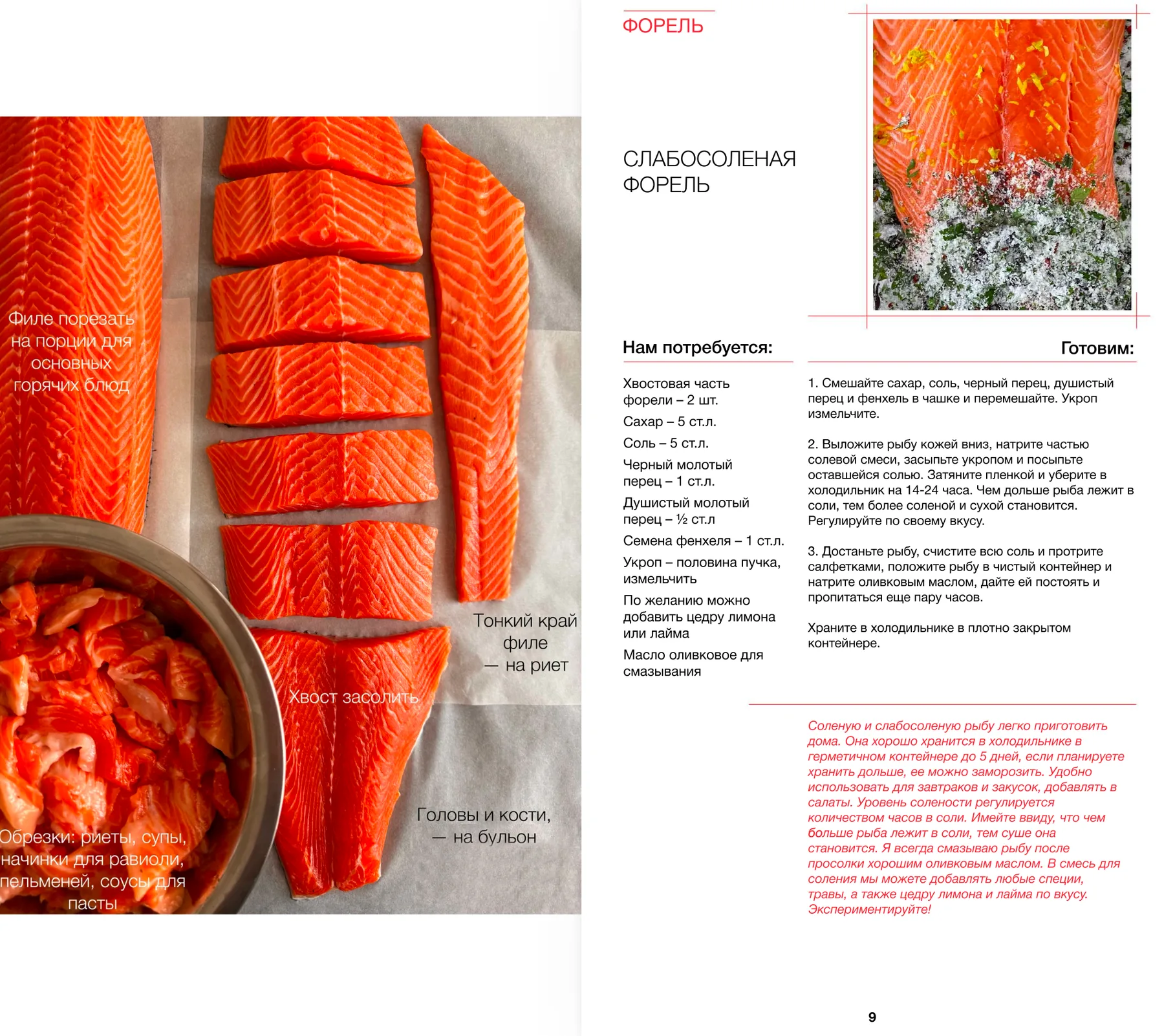 Страница 2 сборника «Морепродукты»